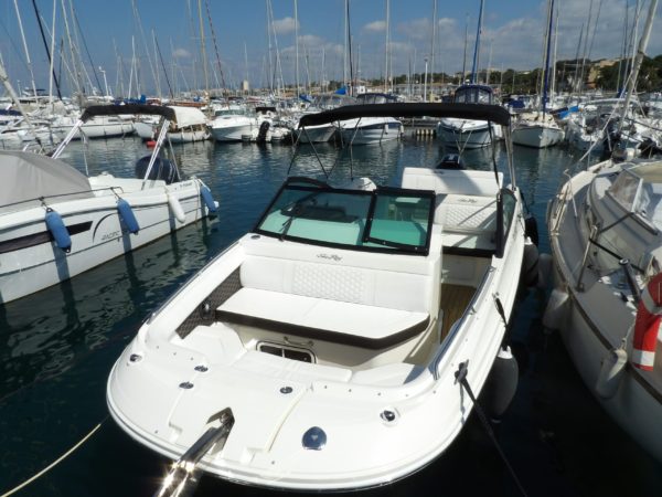 SeaRay 250 SDO – Image 2
