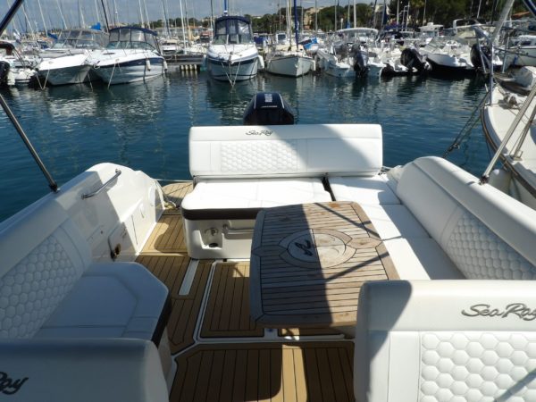 SeaRay 250 SDO – Image 3