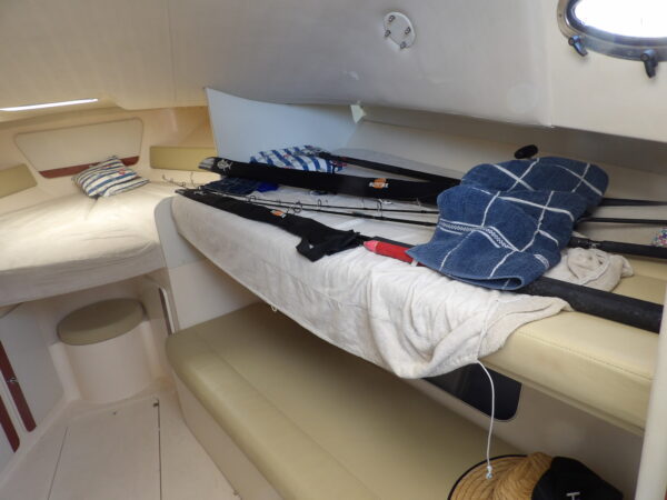 PHOENIX 32 TS – Image 13