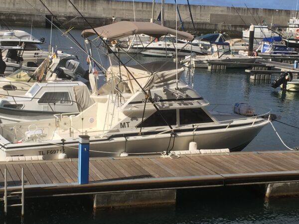 Bertram 28