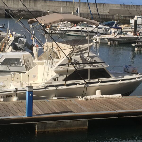 Bertram 28