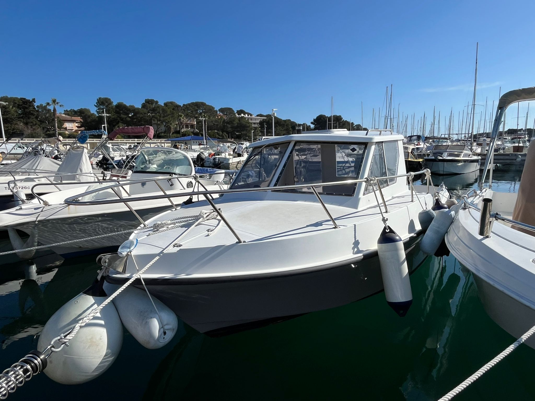 Guymarine 560 - GM 560 – Image 3