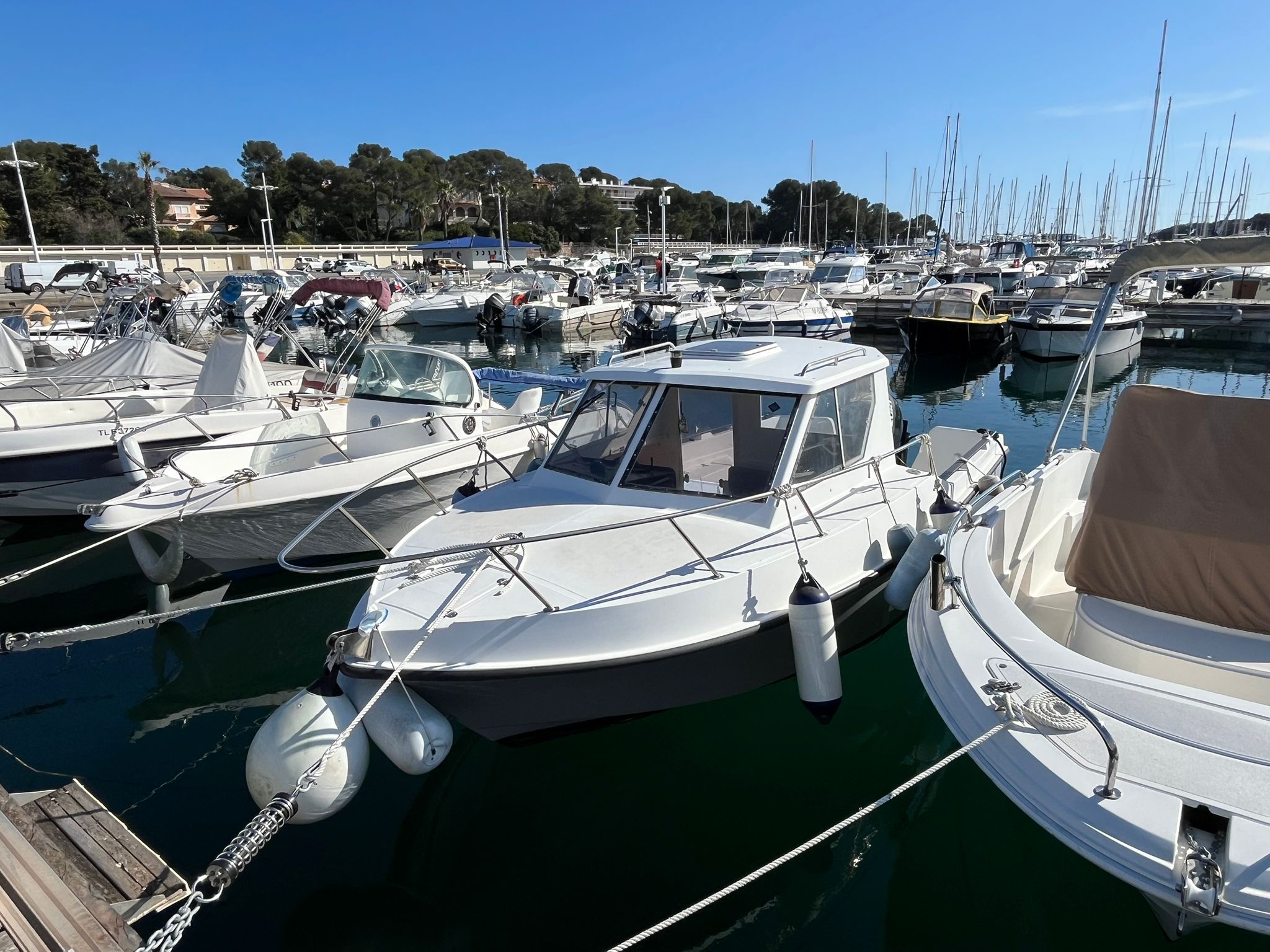 Guymarine 560 - GM 560 – Image 4