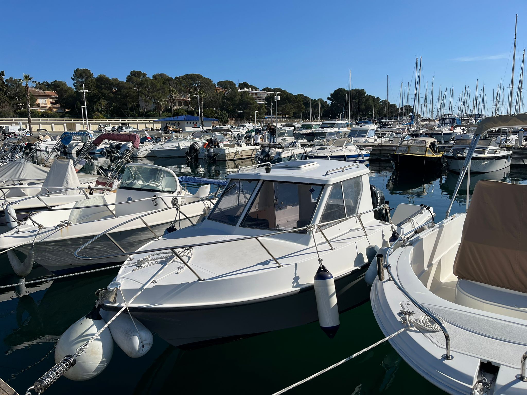 Guymarine 560 - GM 560 – Image 2