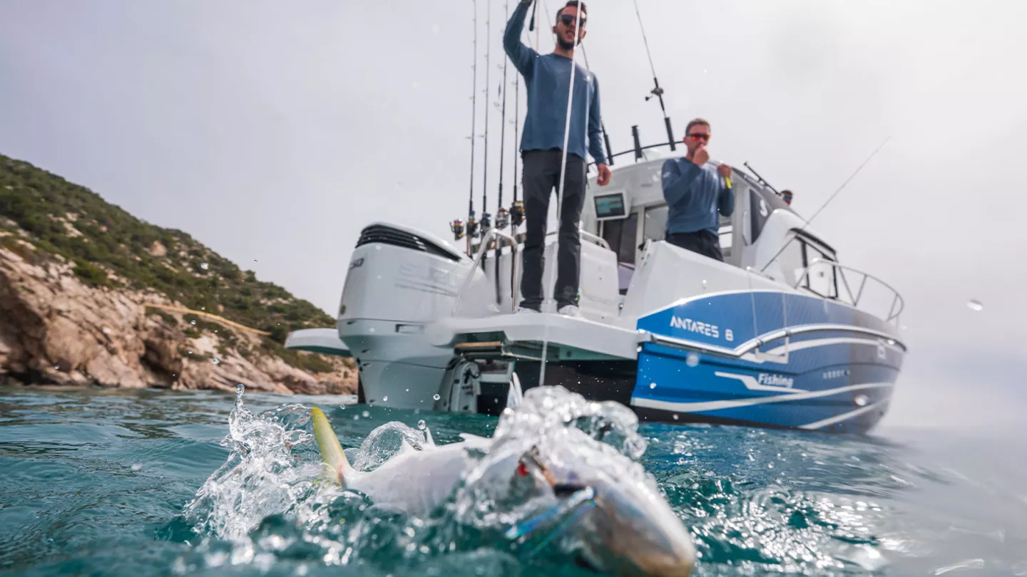 Antares 8 - Disponible en version Fishing – Image 28