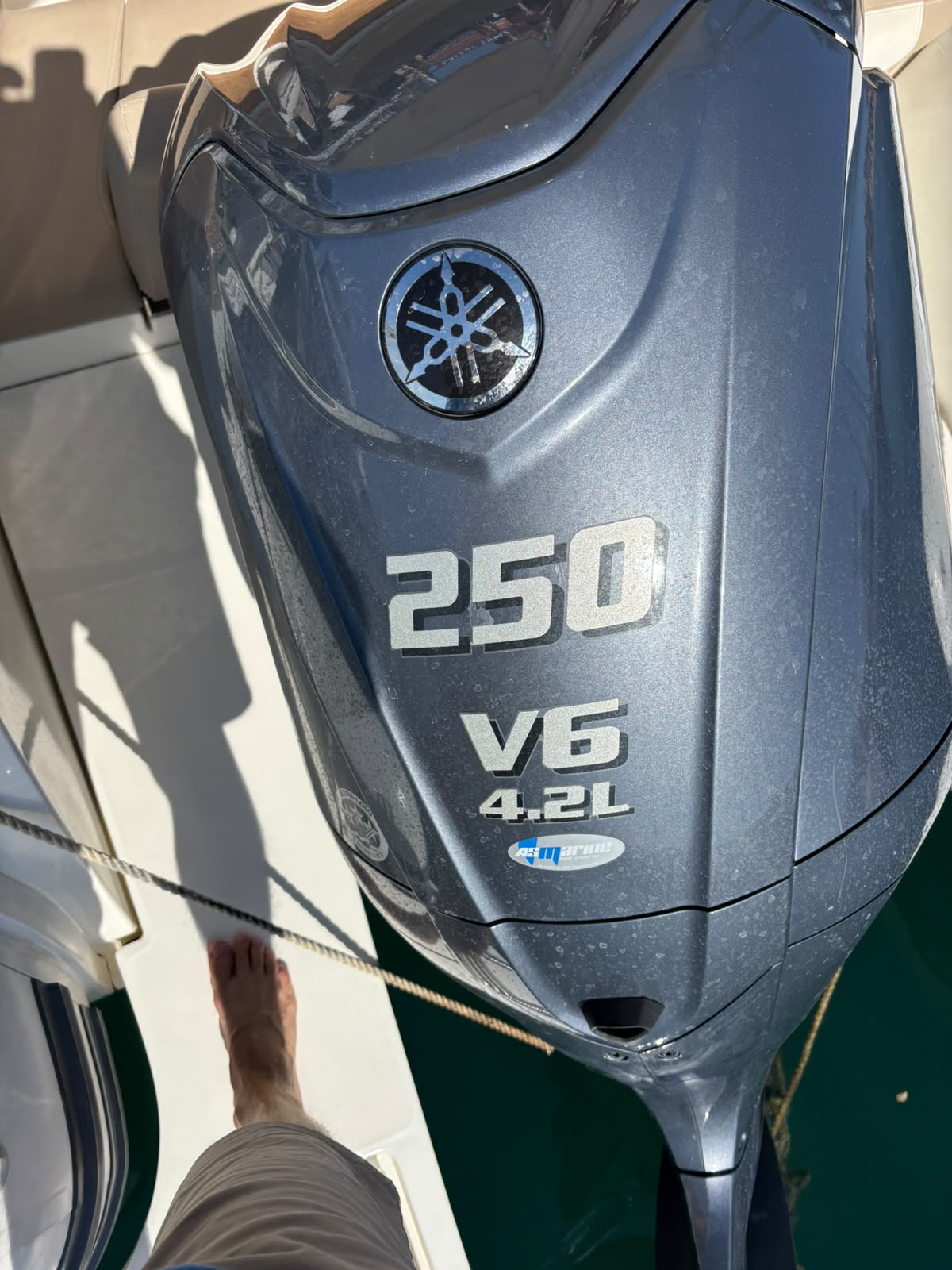 CAPELLI TEMPEST 775 – 2022 – YAMAHA 250 CV – HYPALON – 840 H – LOA REPRENABLE – FRÉJUS / SAINT-RAPHAËL – Image 16