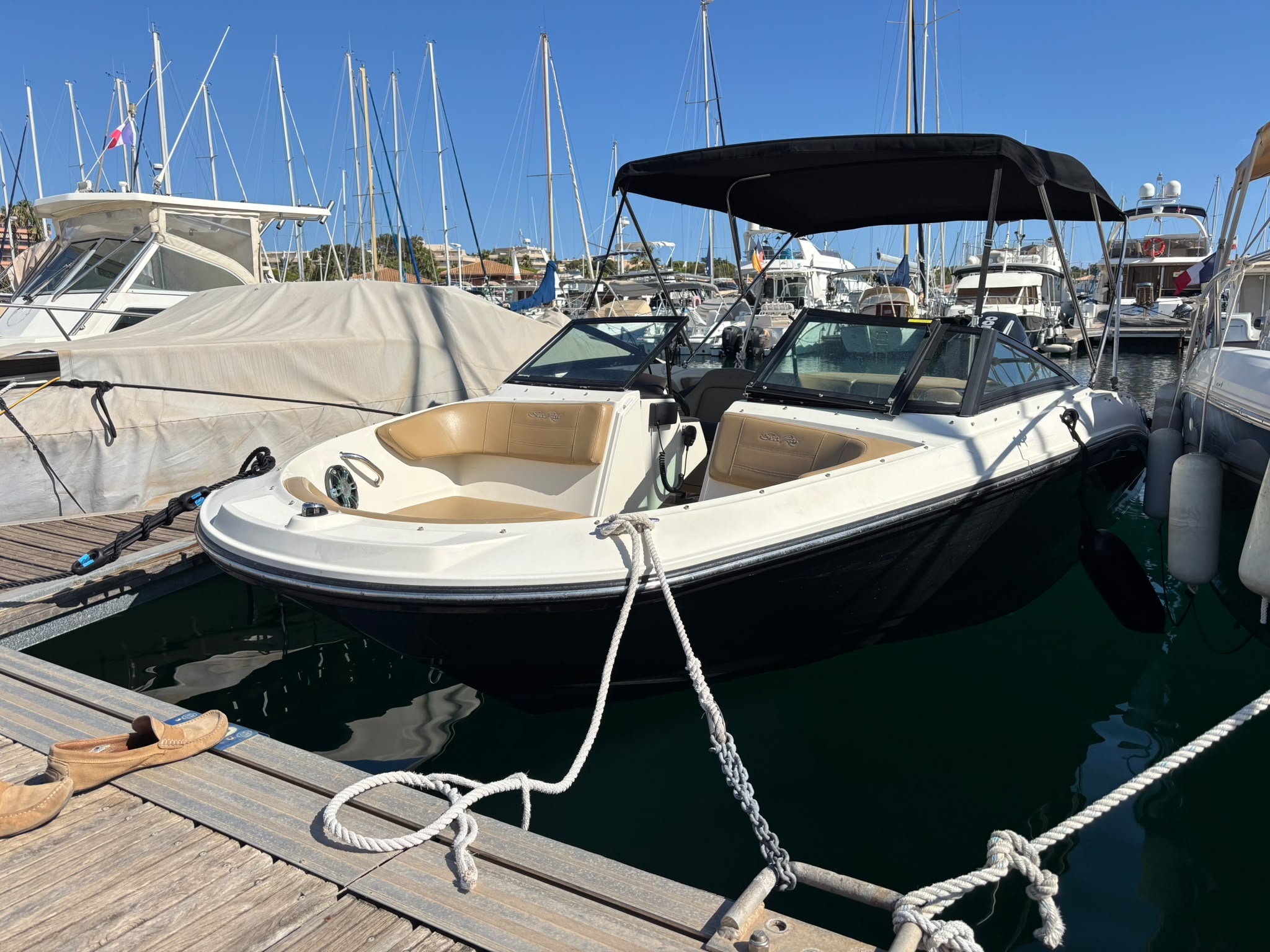 Searay 210 SPX OB à vendre d'occasion à Saint-raphaël Fréjus