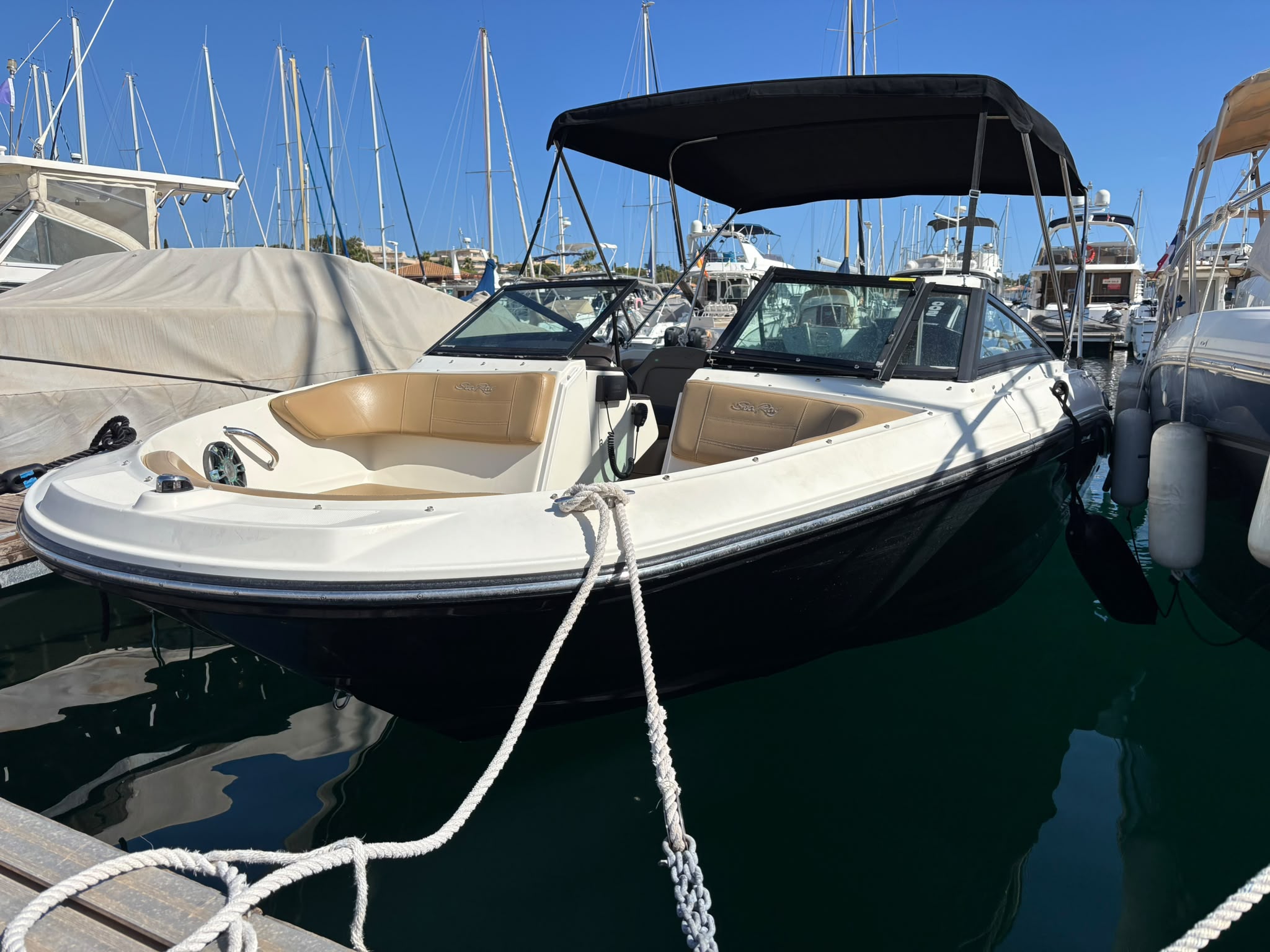 SEA RAY 210 SPX OB 2020 MERCURY 200 CV – Image 3
