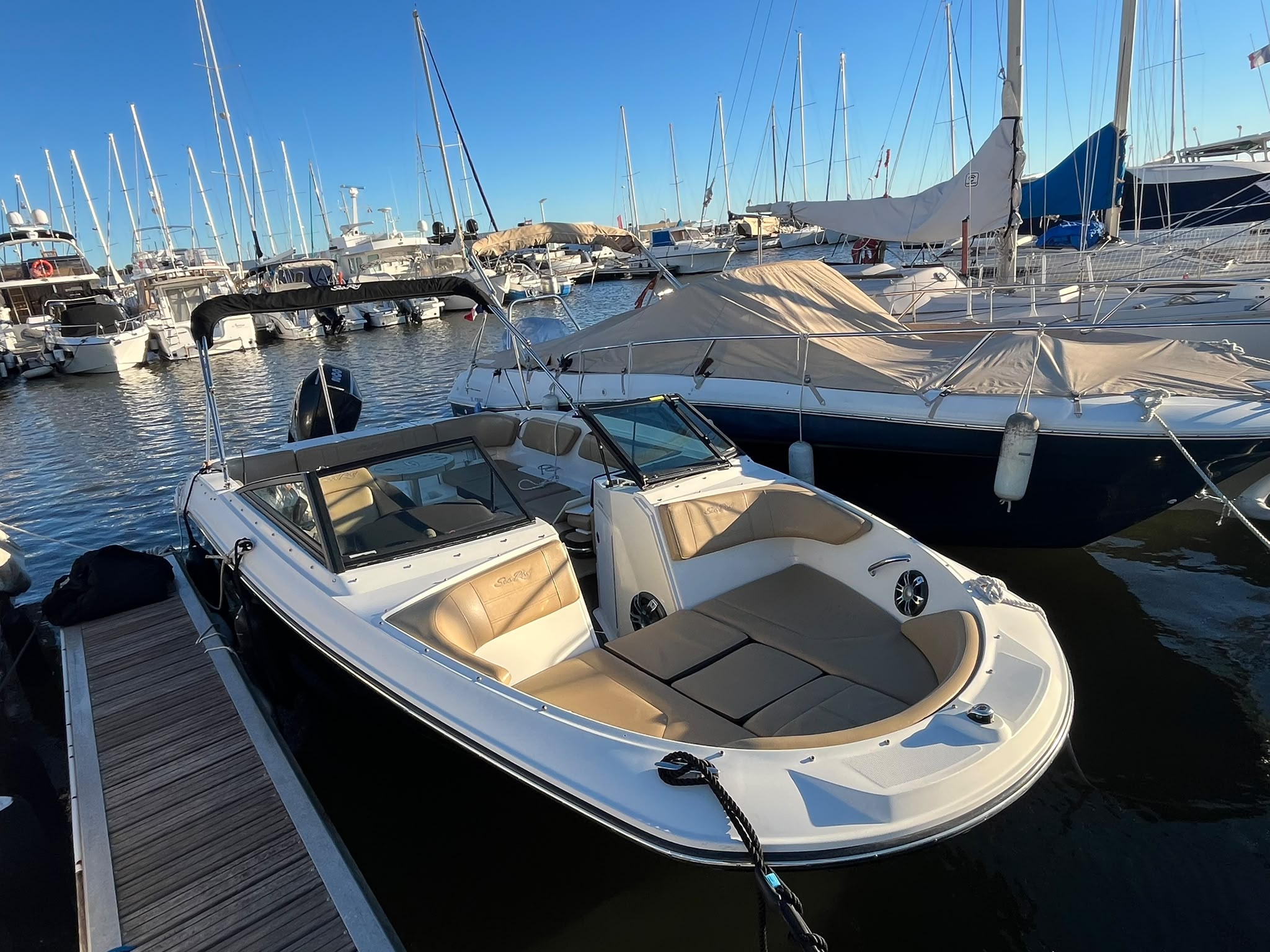 SEA RAY 210 SPX OB 2020 MERCURY 200 CV – Image 6
