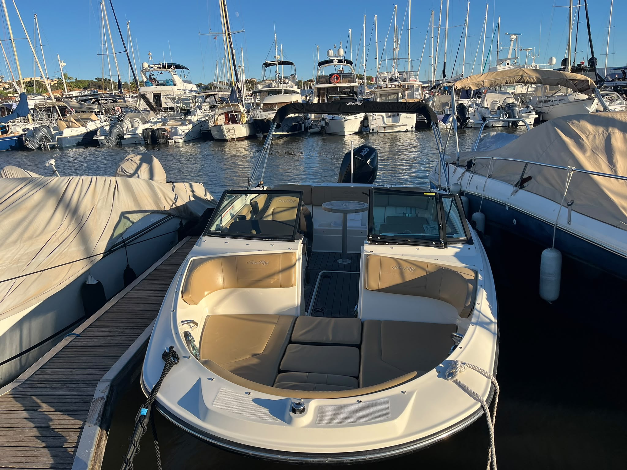 SEA RAY 210 SPX OB 2020 MERCURY 200 CV – Image 5