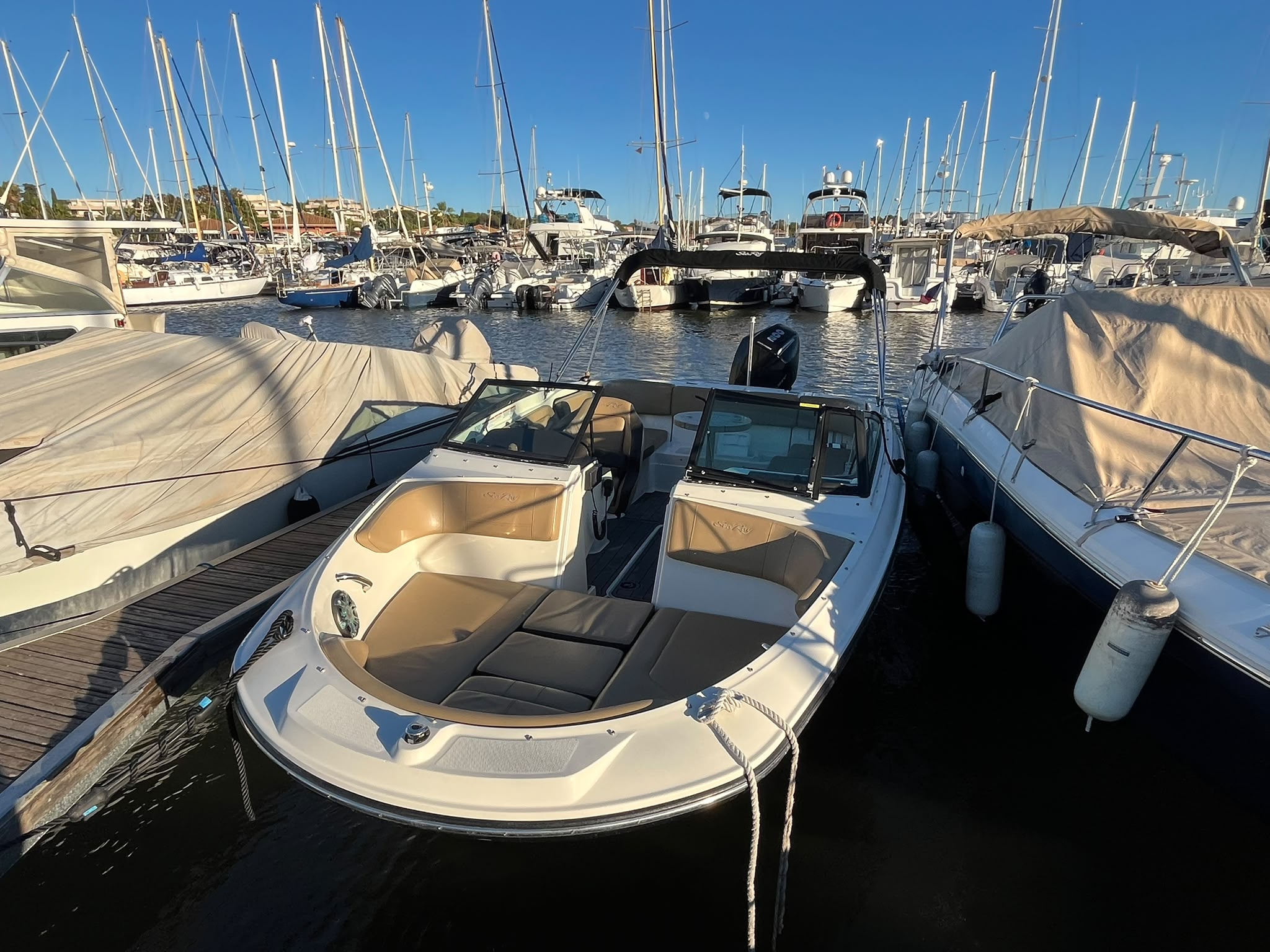 SEA RAY 210 SPX OB 2020 MERCURY 200 CV – Image 9